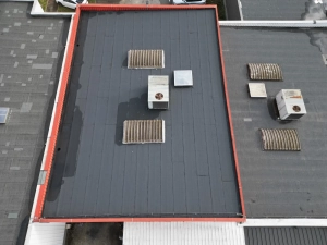 WhatsApp Image 2025-03-28 à 11.46.50_8db70c27