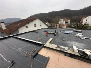 WhatsApp Image 2025-03-28 à 11.51.36_16fa5823