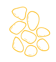 moquette